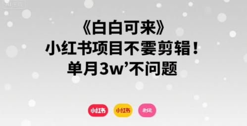 小白可来 小红书项目不需要剪辑 单月3w不是问题-紫橙资源网