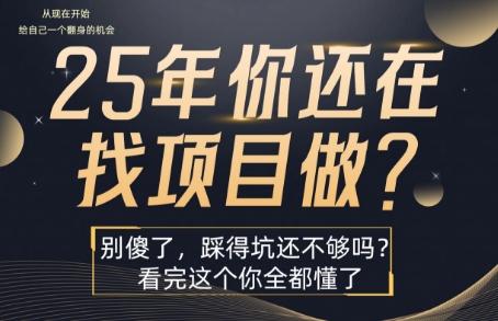 25年，你还在疯狂的找项目吗？别傻了，看完这个你都懂了-紫橙资源网