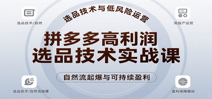 拼多多高利润选品技术实战课，手把手教学自然流高投产起爆，实现低风险可持续盈利-紫橙资源网