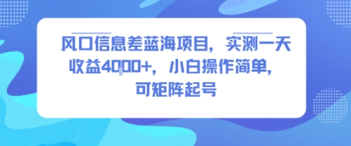 风口信息差蓝海项目，实测一天收益4k+，小白操作简单，可矩阵起号-紫橙资源网