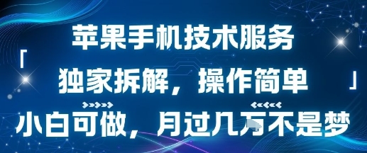苹果手机技术服务，独家拆解，操作简单，小白可做，月过1W不是梦-紫橙资源网