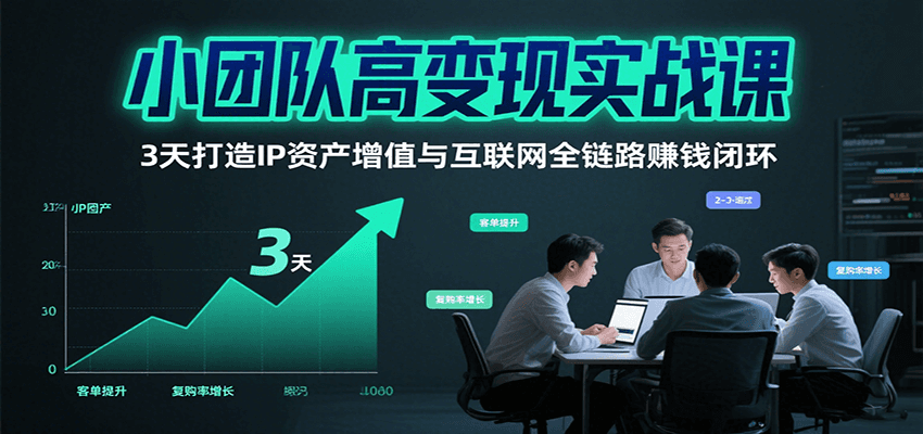小团队高变现实战课，3天打造IP资产增值与互联网全链路赚钱闭环-紫橙资源网