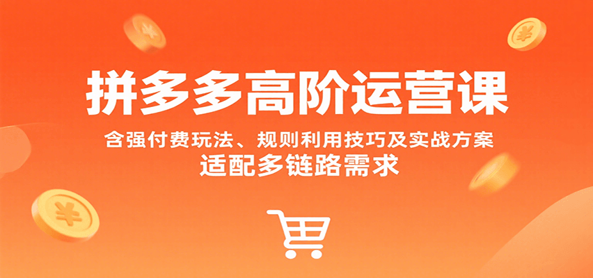 拼多多高阶运营课，含强付费玩法、规则利用技巧及实战方案，适配多链路需求-紫橙资源网