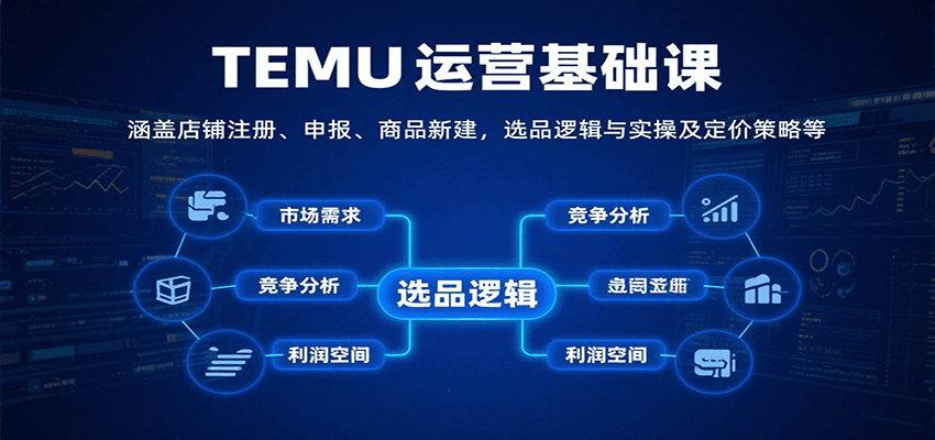 TEMU运营基础课：涵盖店铺注册、申报、商品新建，选品逻辑与实操及定价策略等-紫橙资源网