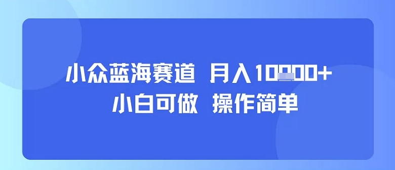 小众蓝海赛道，小白可做，操作简单，每天30分钟，月入1W+-紫橙资源网