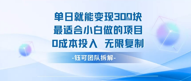 单日就能变现3张最适合小白做的项目0成本投入 无限复制-紫橙资源网