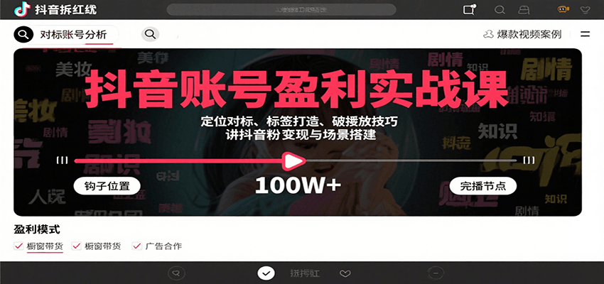 抖音账号盈利实战课，定位对标、标签打造、破播放技巧，讲涨粉变现与场景搭建-紫橙资源网