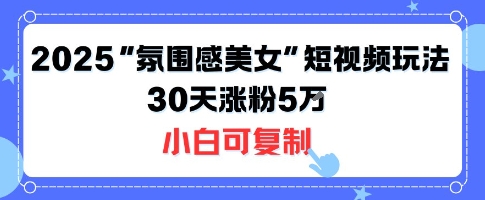 不露脸也能火！2025“氛围感美女”短视频玩法，30天涨粉5W小白可复制-紫橙资源网