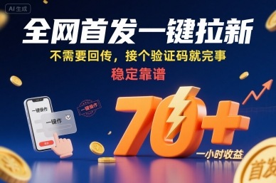 全网首发一键拉新项目，不需要回传，接个验证码就完事，稳定靠谱，一小时收益70+-紫橙资源网