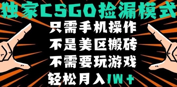 CSGO自动捡漏项目，最新独家玩法，不是美区搬砖，不需要了解和玩游戏，新手小白轻松月入1W+-紫橙资源网