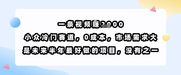 一条视频挣1k，小众冷门赛道，0成本，市场需求大，是未来半年最好做的项目，没有之一-紫橙资源网