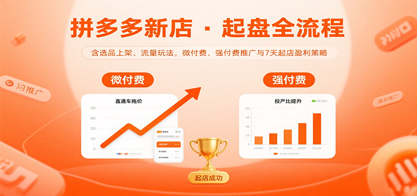 拼多多新店起盘全流程，含选品上架、流量玩法，微付费、强付费推广与7天起店盈利策略-紫橙资源网