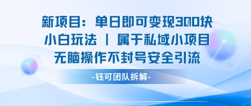 新项目单日即可变现3张的小白玩法无脑操作不封号安全引流-紫橙资源网