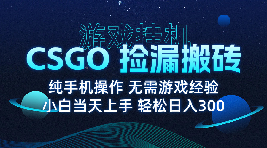 8月最新游戏搬砖，CSGO纯挂机，不需要玩游戏，实现真挂机，月入1W+-紫橙资源网