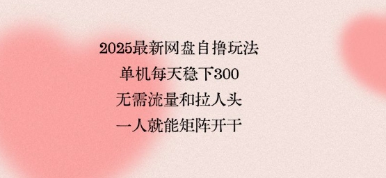 2025最新网盘自撸玩法，单机每天稳下3张，无需流量和拉人头，一个人就可轻松矩阵，全网独一份-紫橙资源网