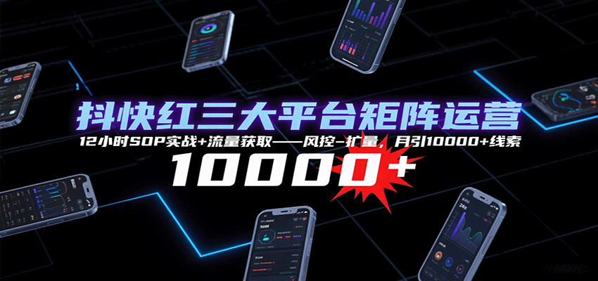 抖快红三大平台矩阵运营，12小时SOP实战+流量获取-风控-扩量，月引10000+线索-紫橙资源网