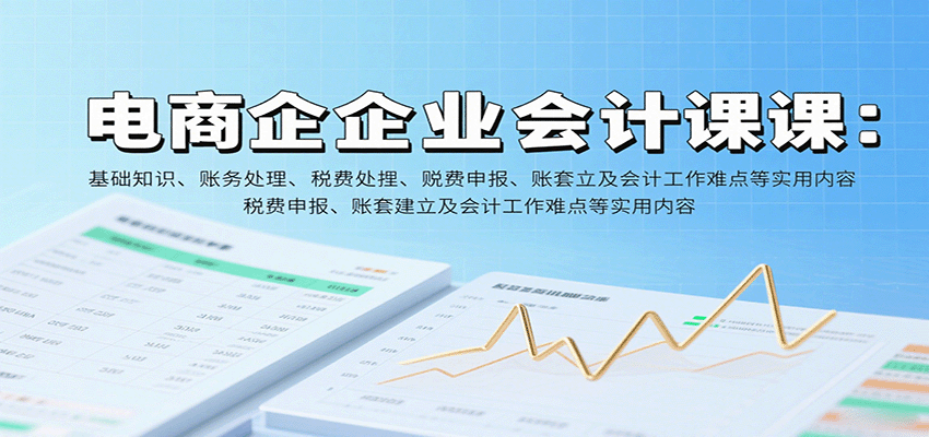 电商企业会计课：基础知识、账务处理、税费申报、账套建立及会计工作难点等实用内容-紫橙资源网