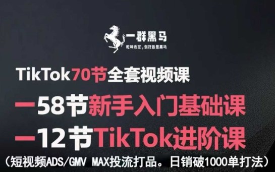 TikTok全套视频课，新手入门+进阶课，短视频ADS-GMV MAX投流打品，日销破1000单打法-紫橙资源网
