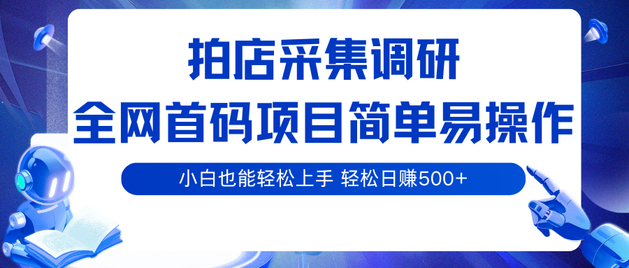 拍店采集调研，全网首码项目，简单易操作， 小白也能轻松上手，轻松日赚500+-紫橙资源网