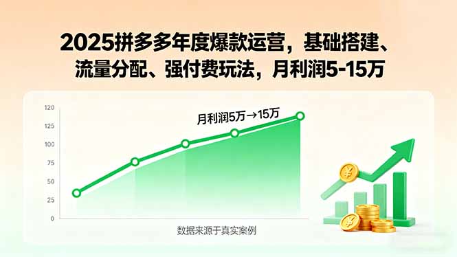 2025拼多多年度爆款运营，基础搭建、流量分配、强付费玩法，月利润5-15万-紫橙资源网