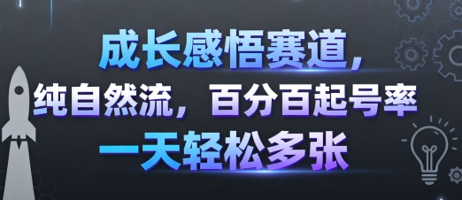 成长感悟赛道，纯自然流，百分百起号率 一天轻松多张-紫橙资源网