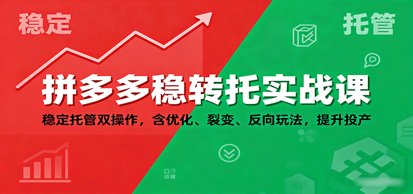 拼多多稳转托实战课：稳定托管双操作，含优化、裂变、反向玩法，提升投产-紫橙资源网