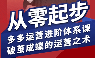 拼多多运营进阶系统课，从零起步，多多运营进阶体系课，破茧成蝶的运营之术（更新9月）-紫橙资源网