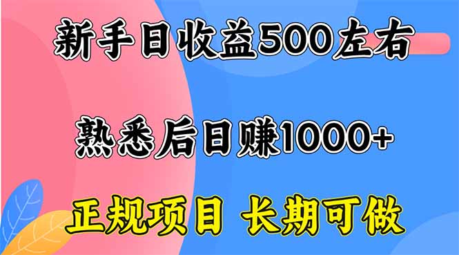 新手日收益500+ 正规项目 长期可做-紫橙资源网