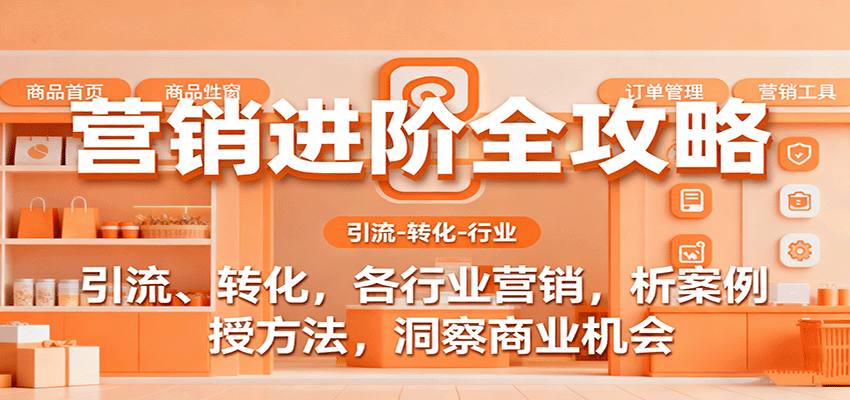 营销进阶全攻略，引流、转化，各行业营销，析案例，授方法，洞察商业机会-紫橙资源网
