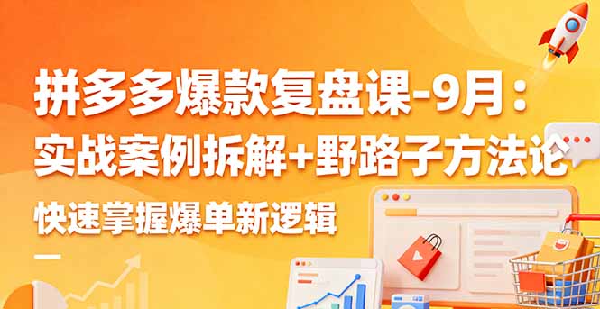 拼多多爆款复盘课-9月：实战案例拆解+野路子方法论，快速掌握爆单新逻辑-紫橙资源网