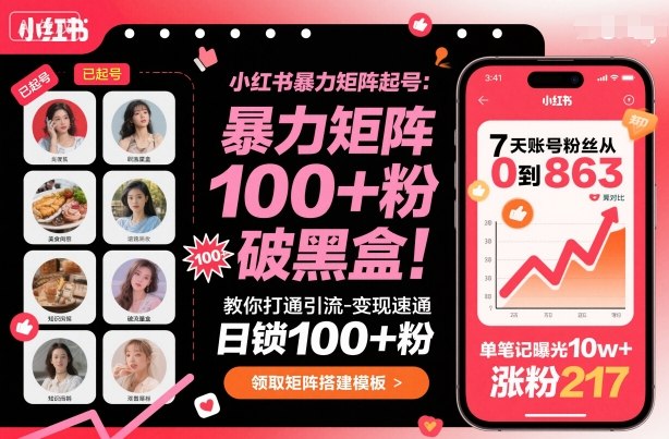 小红书暴力矩阵起号，教你打通引流-变现速通，日锁100+粉，破流量黑盒-紫橙资源网