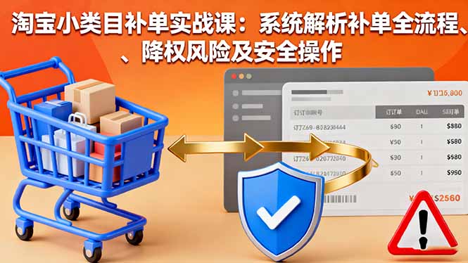 淘宝小类目补单实战课：系统解析补单全流程、降权风险及安全操作-紫橙资源网