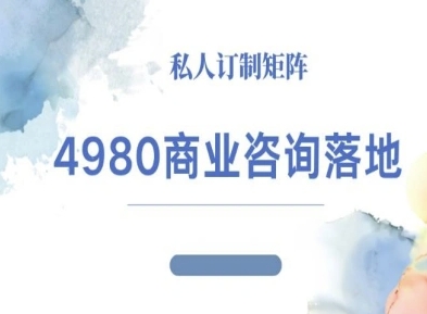 4980商业咨询师落地课程-ip运营高客单教程-紫橙资源网