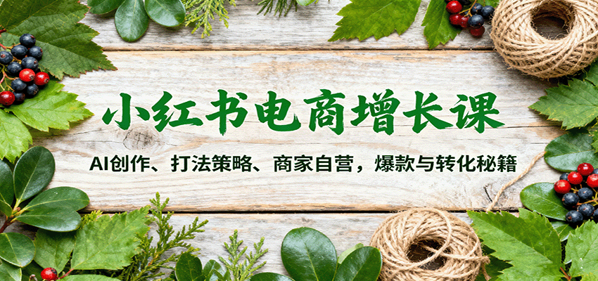 小红书电商增长课：AI创作、打法策略、商家自营，爆款与转化秘籍-紫橙资源网