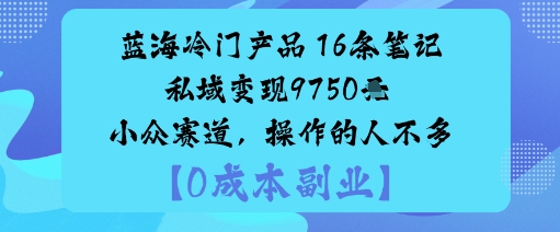 蓝海冷门产品:16条笔记私域变现9750米小众赛道,操作的人不多-紫橙资源网