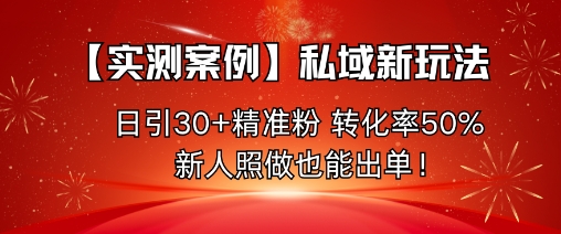 【实测案例】私域新玩法，日引30+精准粉，转化率50%，新人照做也能出单！-紫橙资源网