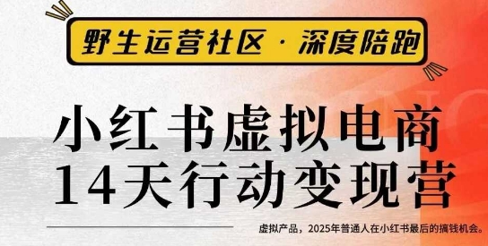 小红书虚拟电商14天变现训练营3.0，​虚拟产品，2025年普通人在小红书最后的搞钱机会-紫橙资源网
