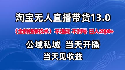 淘宝无人直播13.0，公域私域技术，不封号，不违规布局下半年旺季赛道，日入1K+（独家技术）-紫橙资源网