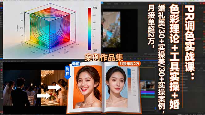 PR调色实战课：色彩理论+工具实操+婚礼医美/30+实操案例，月接单超2万-紫橙资源网