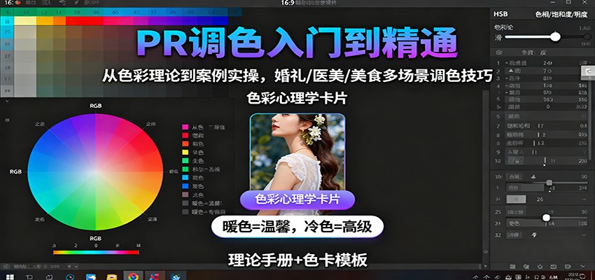 PR调色入门到精通：从色彩理论到案例实操，婚礼/医美/美食多场景调色技巧-紫橙资源网