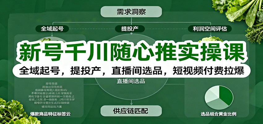 新号千川随心推实操课:全域起号,提投产,直播间选品,短视频付费拉爆-紫橙资源网
