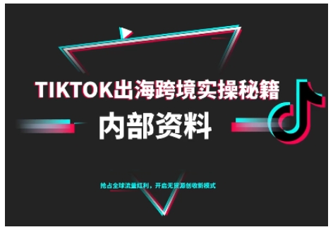 TikTok跨境电商0-1搭建运营，TK出海跨境实操秘籍（10月更新）-紫橙资源网
