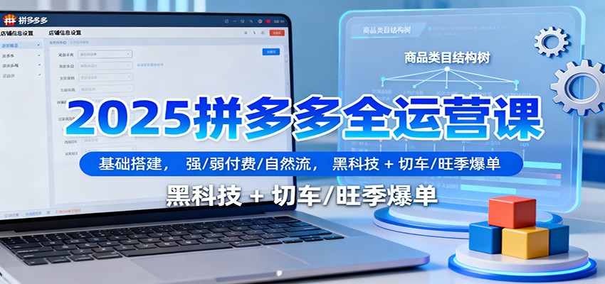 2025拼多多全运营课:基础搭建,强/弱付费/自然流,黑科技 + 切车/旺季爆单-紫橙资源网