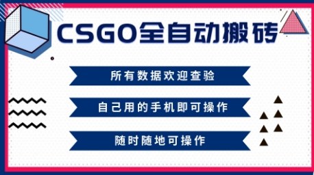 CSGO全自动搬砖，年底钱回家好项目，当天可拿到结果，新手小白轻松月入1W+-紫橙资源网
