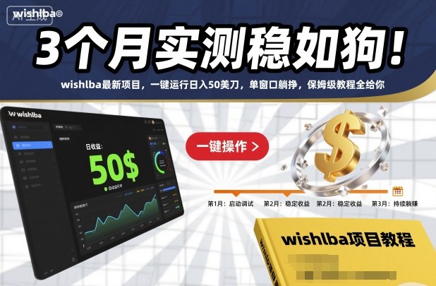 3个月实测稳如狗！wishlba最新项目，一键运行日入50美刀，单窗口躺挣，保姆级教程全给你-紫橙资源网