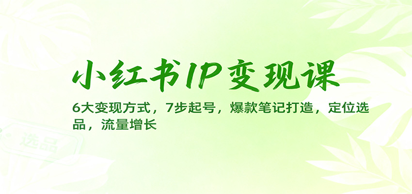 小红书IP变现课：6大变现方式，7步起号，爆款笔记打造，定位选品，流量增长-紫橙资源网