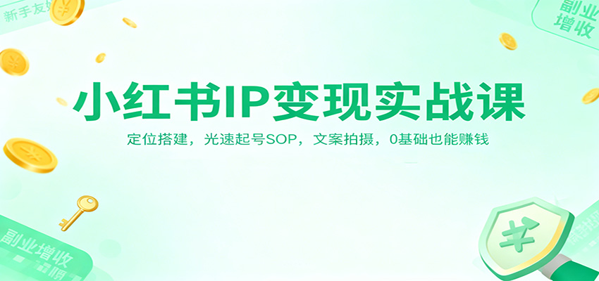 小红书IP变现实战课：定位搭建，光速起号SOP，文案拍摄，0基础也能赚钱-紫橙资源网