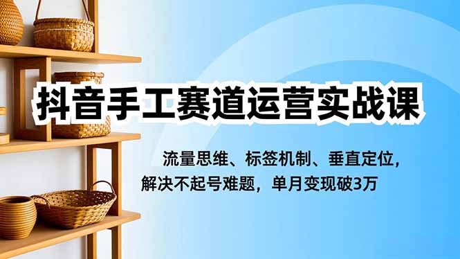 抖音手工赛道运营实战课，流量思维、标签机制、垂直定位，解决不起号难题，单月变现破3万-紫橙资源网