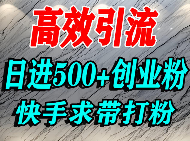 怎么打创业粉?快手求带视角精准引流创业粉,宝妈、学生群体日进500+精准流量-紫橙资源网