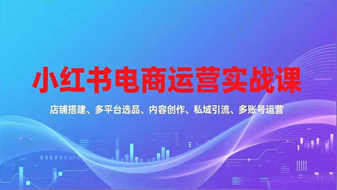 小红书电商运营实战课,店铺搭建、多平台选品、内容创作、私域引流、多账号运营等玩法-紫橙资源网